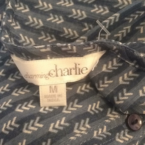 FINAL MARKDOWN LADIES sheer charming Charlie top medium - Picture 5 of 5